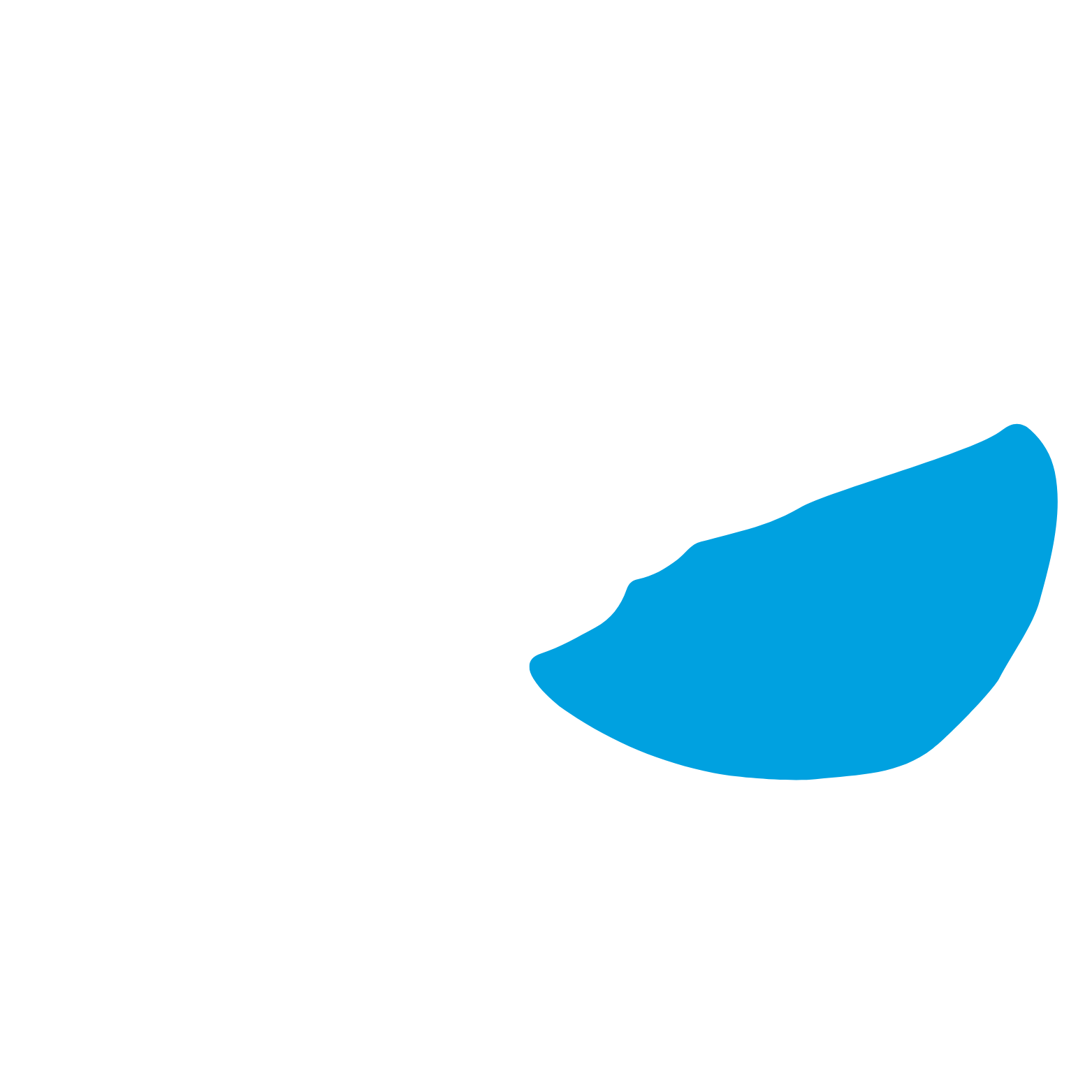 NCG Logo